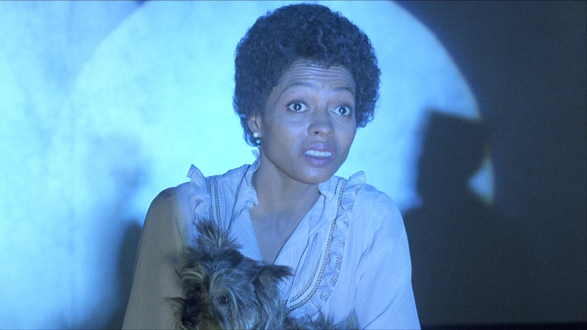 The Wiz