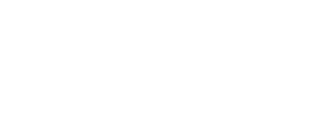 Anaconda logo