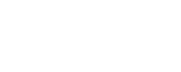 Big logo