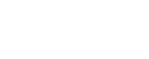 The Big Blue logo