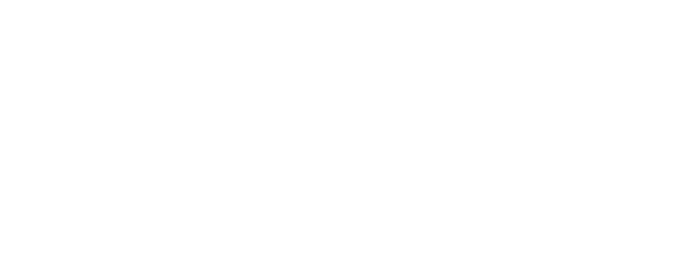 Armour of God 2: Operation Condor logo