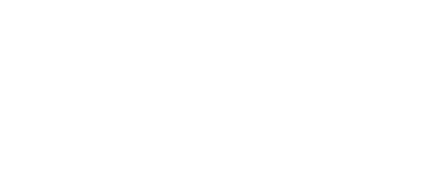 The Whole Nine Yards logo