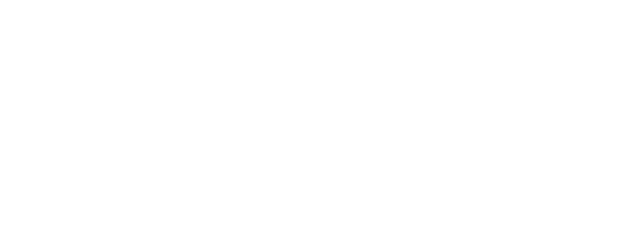 The Whole Nine Yards logo
