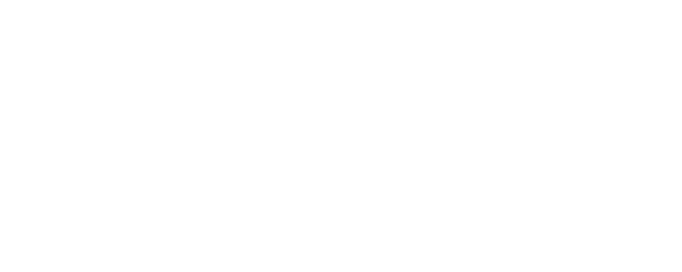 The Perfect Storm logo