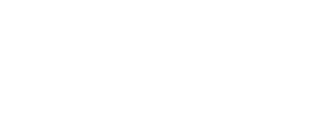 The Perfect Storm logo