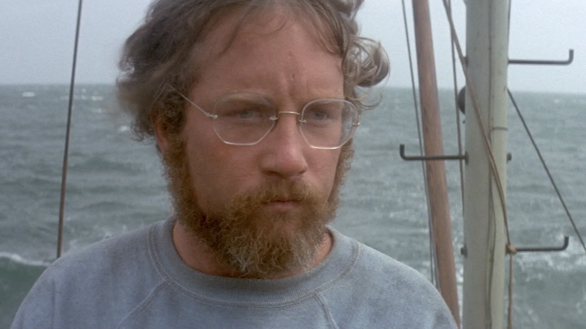 Jaws