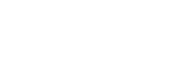 Searching for Bobby Fischer logo