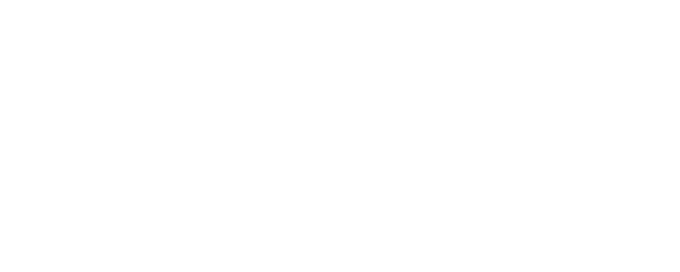 She's the One logo