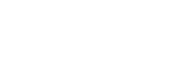 The Fast and the Furious logo