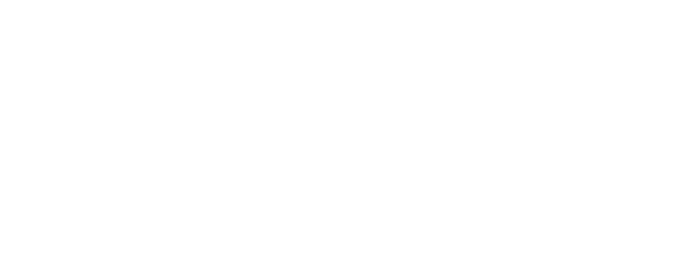 American Outlaws logo