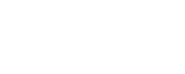 The Iron Ladies logo