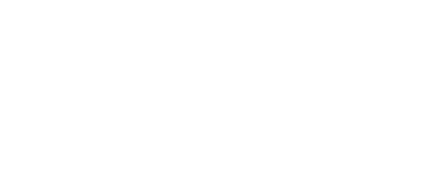 Riding in Cars with Boys logo