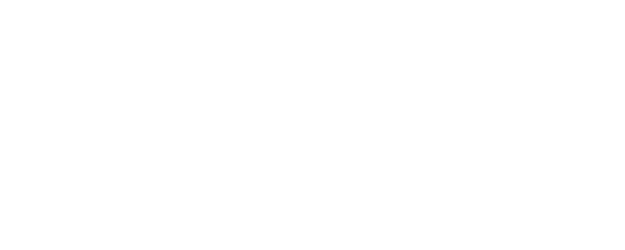 Not Another Teen Movie logo