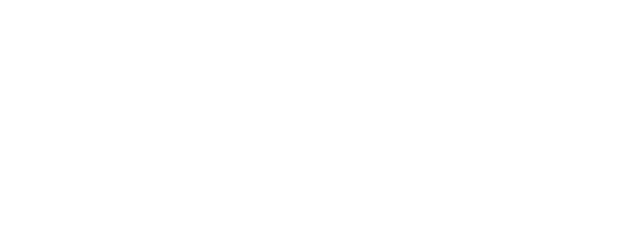 Not Another Teen Movie logo