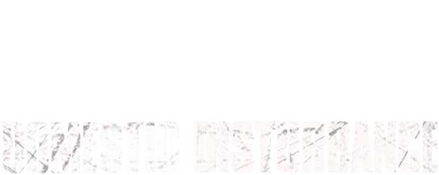 Domestic Disturbance logo