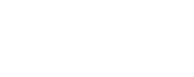 Collateral Damage logo