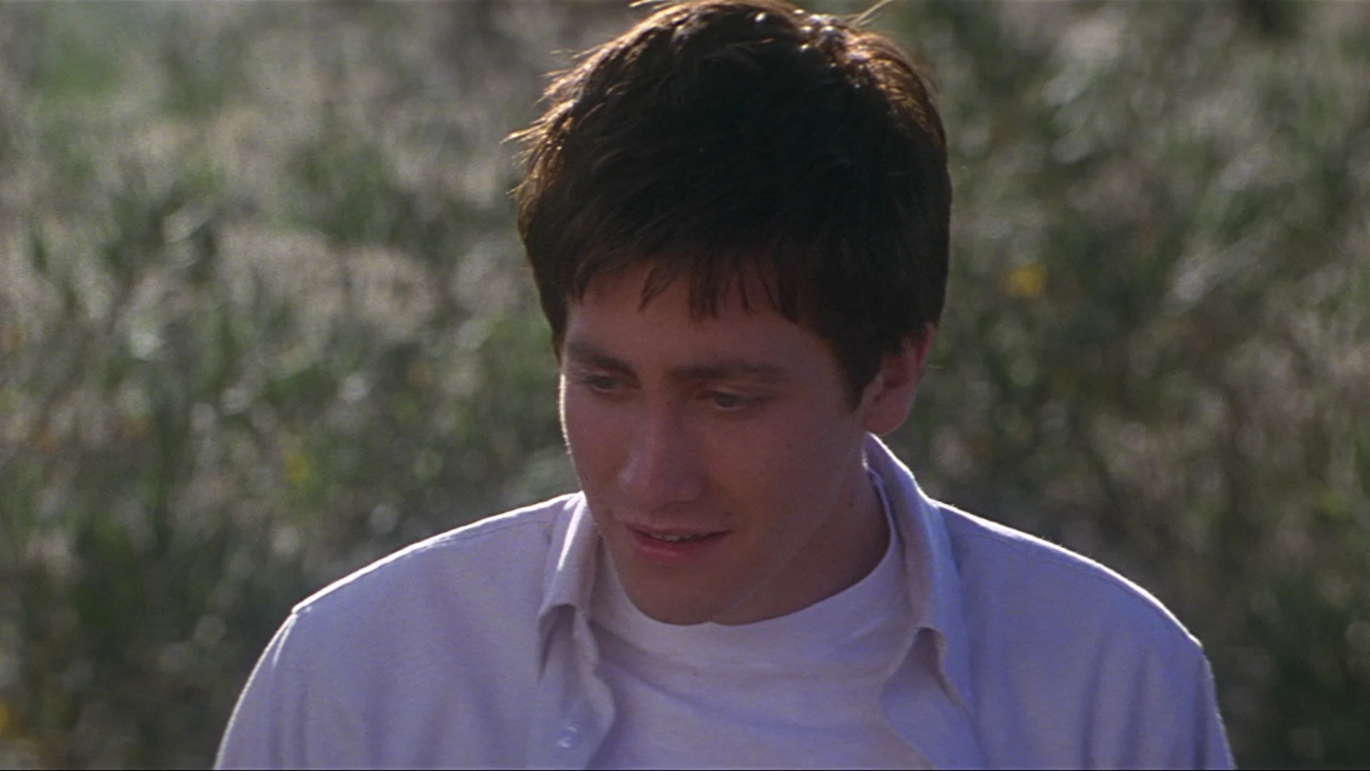 Donnie Darko