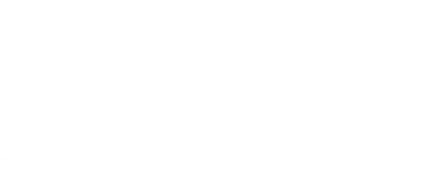 Midnight Fly logo