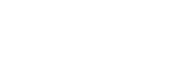Eight Crazy Nights logo