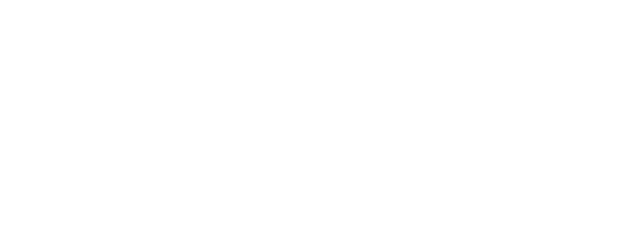 Eight Crazy Nights logo