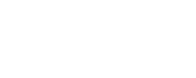 About Schmidt logo