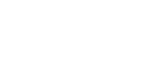 Second Skin logo