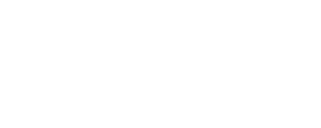 Two-Way Stretch logo