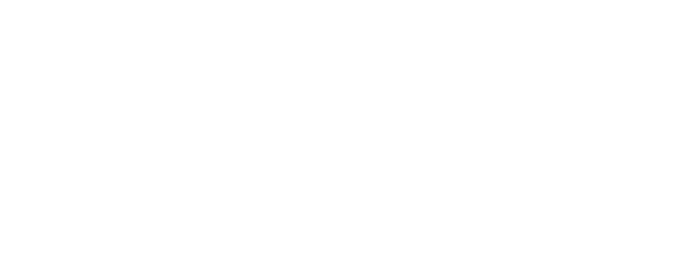 Anything Else logo