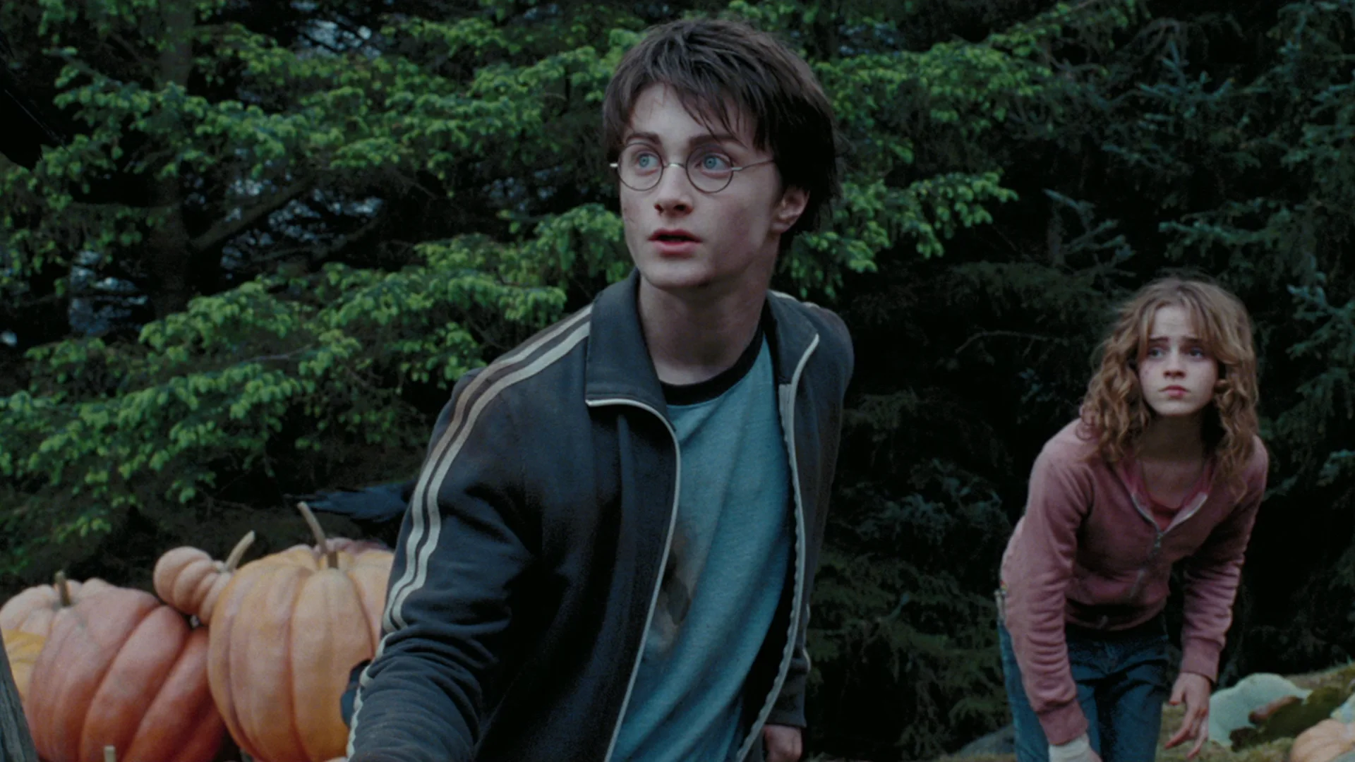 Harry Potter and the Prisoner of Azkaban
