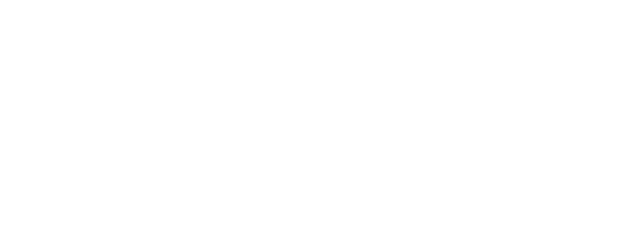 The Bullet Train logo