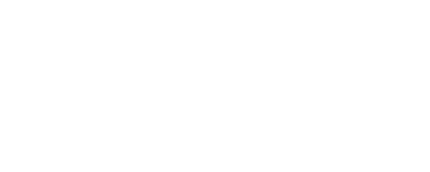 The Bullet Train logo
