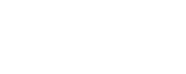 Hudson Hawk logo