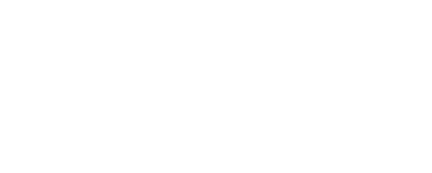 Hudson Hawk logo