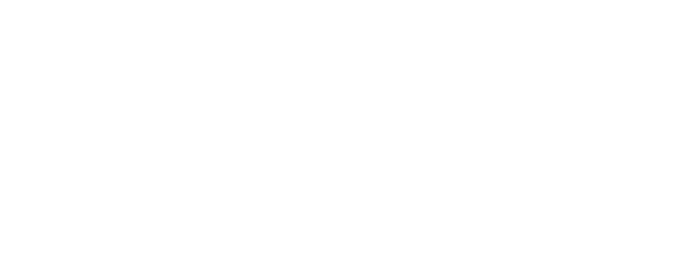 Holiday on the Buses logo