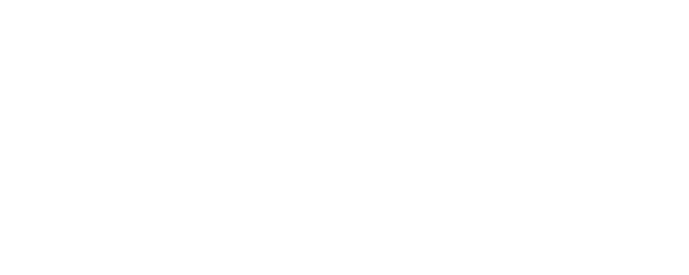 Madagascar logo