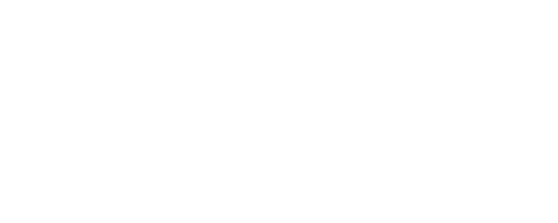 Veer-Zaara logo