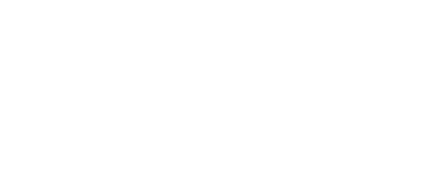 Veer-Zaara logo