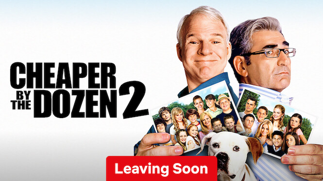 Cheaper by the Dozen 2