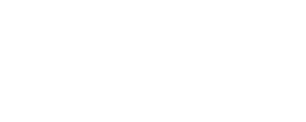 Formula 17 logo