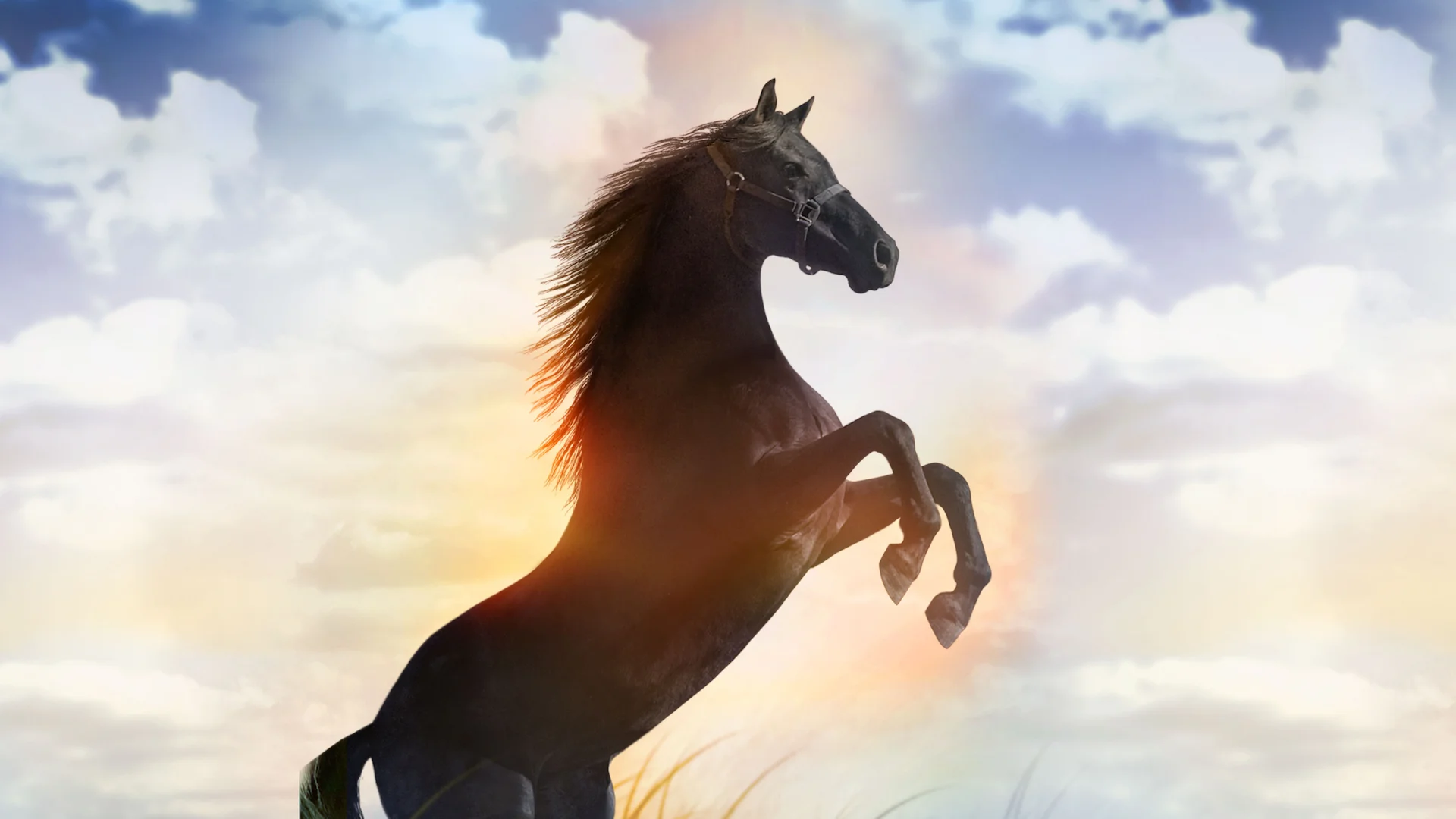 Flicka