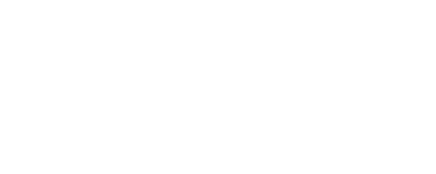 Flicka logo
