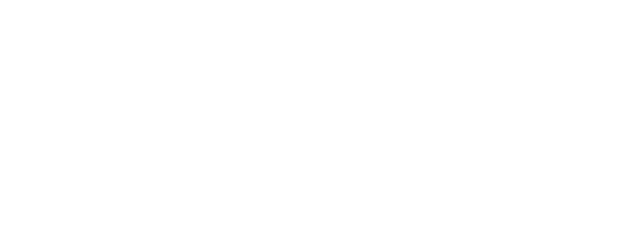 Another Public Enemy logo