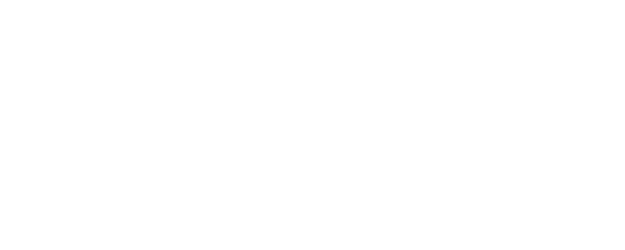Another Public Enemy logo