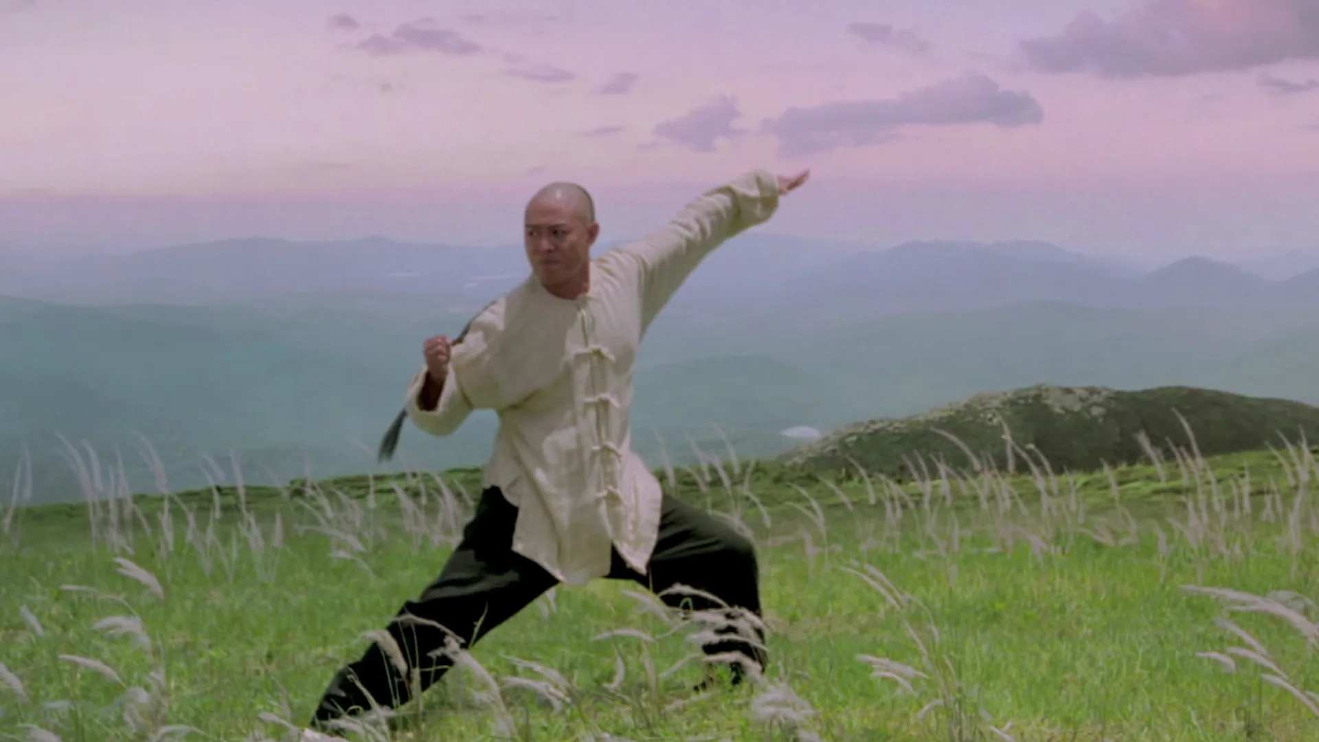 Jet Li's Fearless