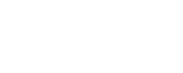 Stardust logo