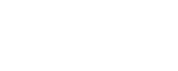 Into the Wild logo