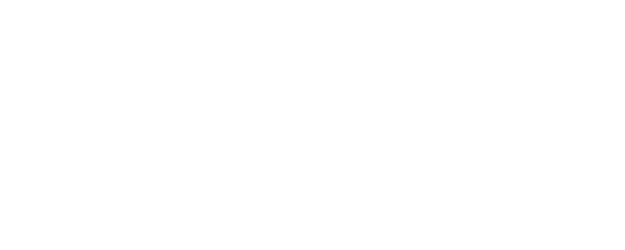 Bobby Z logo