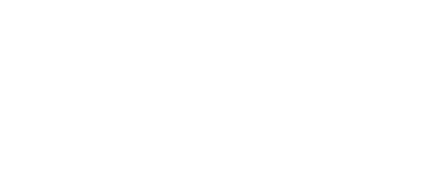 The Promise logo