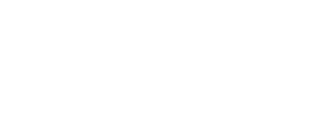 The Big Job logo