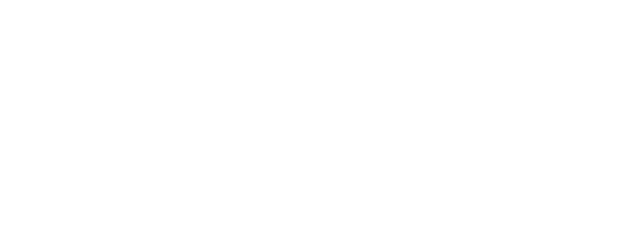 Dragon Tiger Gate logo